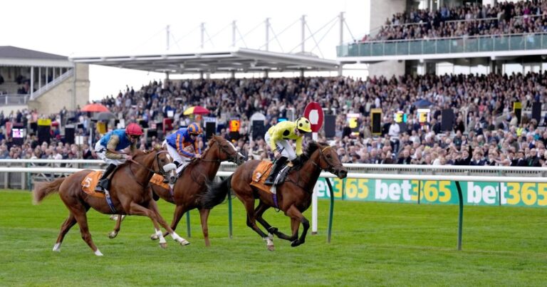 Bow Echo looks the part with Royal Lodge victory