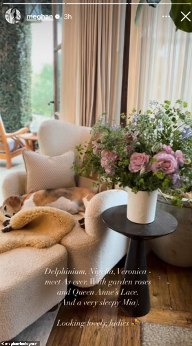 Meghan Markle shares a rare glimpse inside her $14million mansion’s living room – complete with royal nod, $2,000 Hermès throw and a ‘hint at new product’