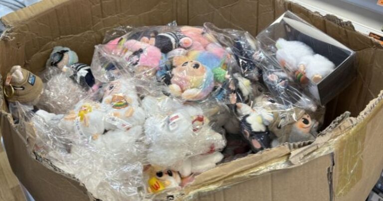 More than 500 Labubu dolls seized from city centre pose serious safety risk