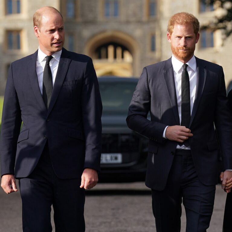 Prince Harry, Prince William, King Charles Relationship Amid Feud