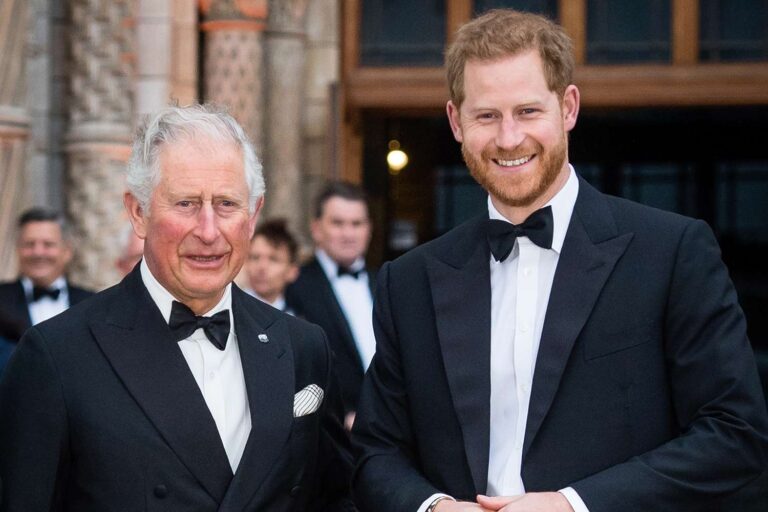 Prince Harry Won’t Have ‘Half-In’ Royal Role Despite Reunion with King Charles