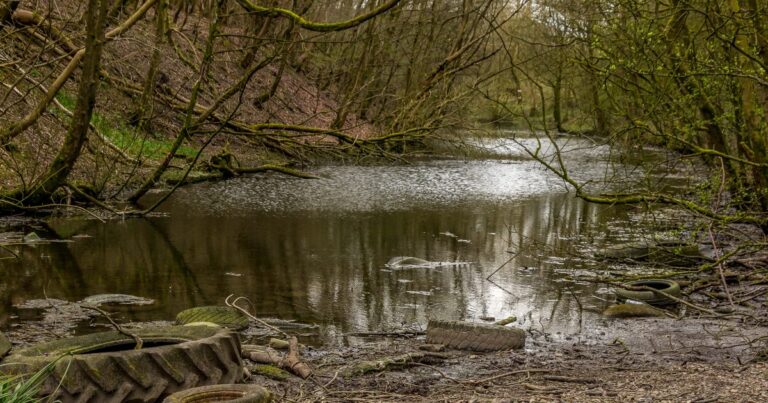 Privatisation does not work. | Jewish Voice for Labour