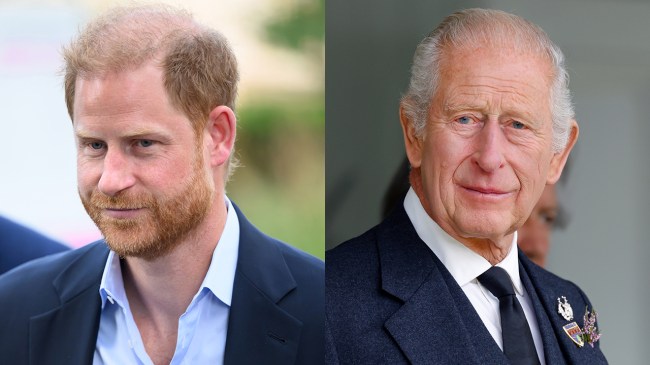 Will Prince Harry Be a Working Royal Again After King Charles Meeting?