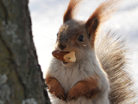 Acorn’s secret to success with a small portfolio