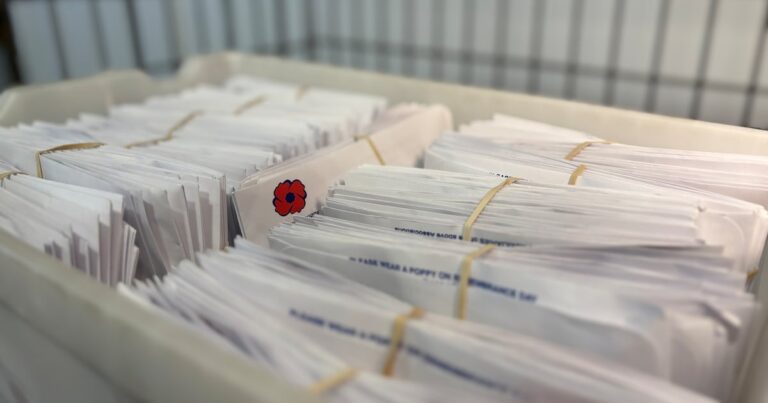 Canada Post strike puts mail-out poppy campaign at risk – CTV News