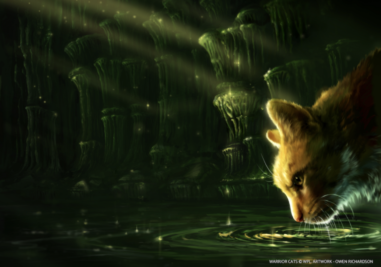 Coolabi and Red Games Co sign Warrior Cats mobile game deal