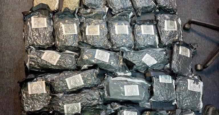 Huge haul of drugs found in parcels destined for Cambridge addresses