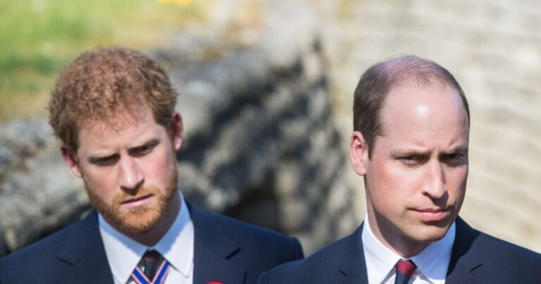 Prince Harry’s lawyer mentions Prince William and Kate in legal battle | Royal | News