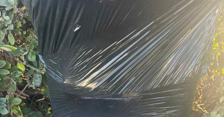 Royal Mail postboxes taped and closed around Essex