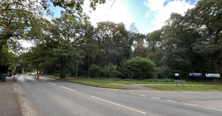Solihull woodland near nature reserve and social club to be sold for just £5k