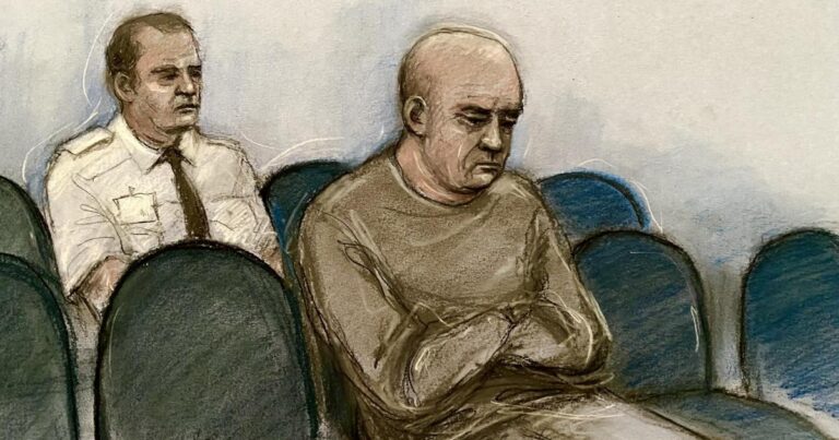 Stalker found guilty of targeting Myleene Klass by posting air gun and handcuffs