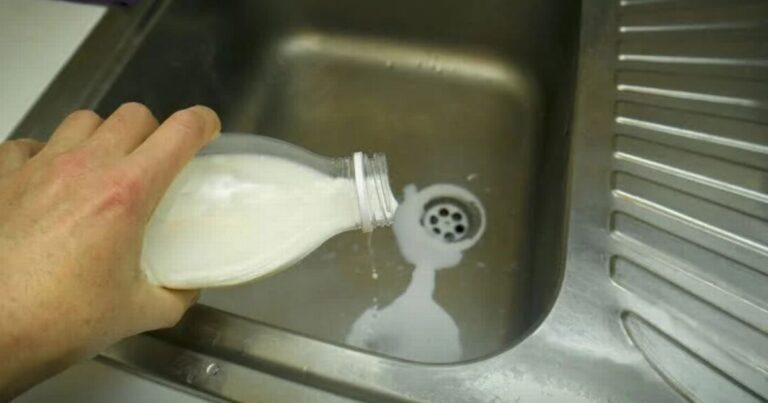UK households urged to ‘stop’ pouring milk down drain