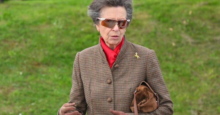 ‘Grafter’ Princess Royal visits Dorset in support of local organisations