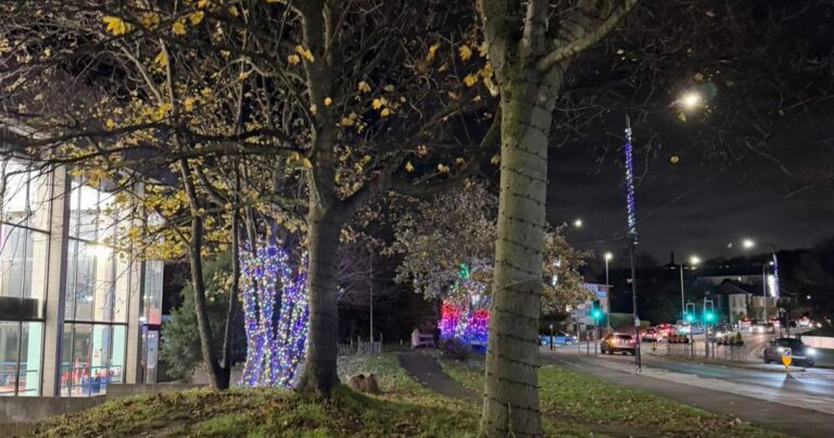 Christmas lights damaged after lorry drives through power cables