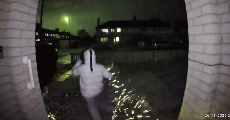 Doorbell footage catches moment real-life Grinch steals mum’s Christmas tree from front porch