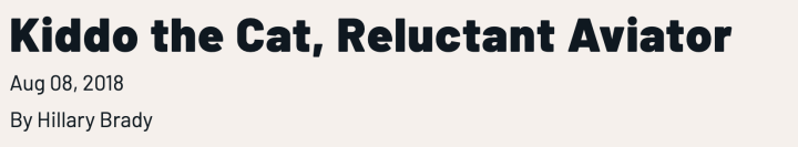 Kiddo, the pioneering cat; Simon’s cat gets baked on Christmas; eight signs of feline dementia; and lagniappe – Why Evolution Is True