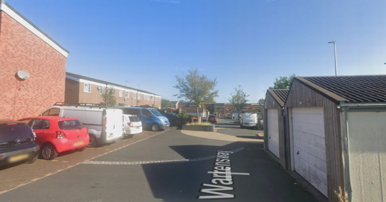 Man arrested and dogs seized after woman brutally attacked in street