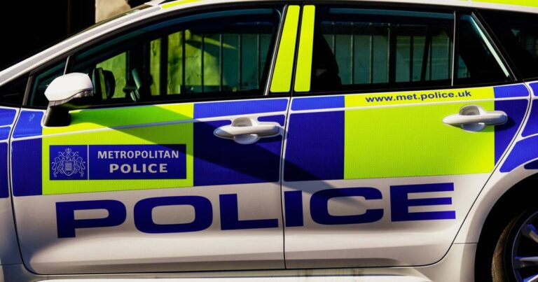 Met PC sacked after pushing pensioner over wall | News UK