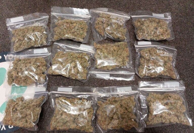 Parcel containing cannabis seized by Fordingbridge police working with Royal Mail