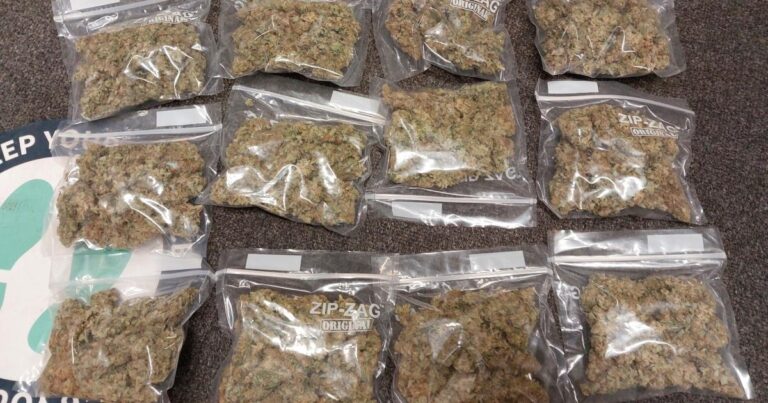 Royal Mail parcel containing cannabis seized by police