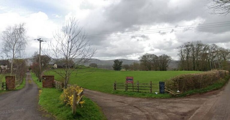 ‘Forest kindergarten’ nursery planned near rural Somerset cricket club