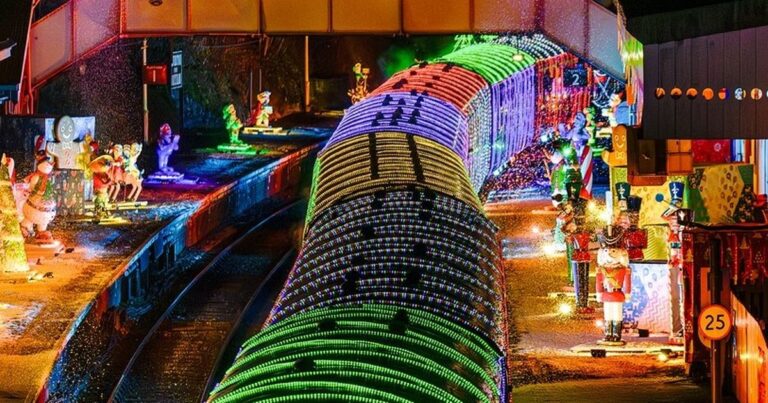 Families flock to Devon’s world famous Train of Lights