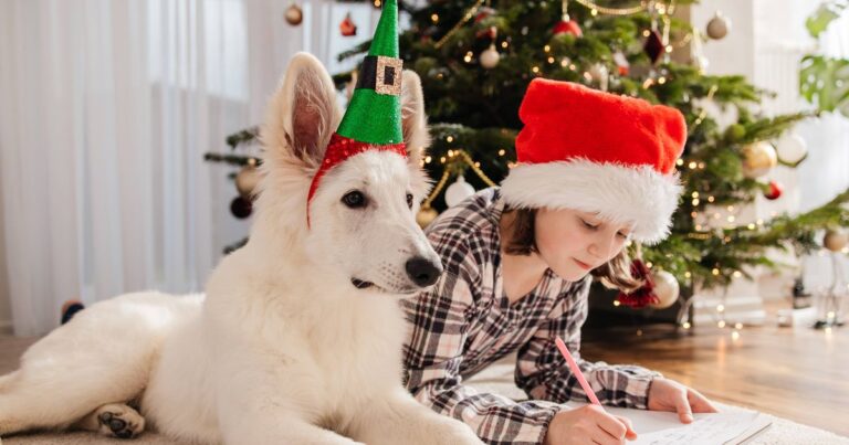 Free Royal Mail Letter from Santa: All you need to know before deadline tomorrow