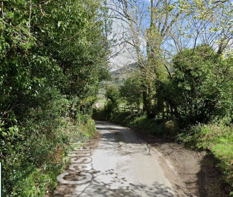 Pensioner, 79, killed neighbour’s dog and left her with broken pelvis after hitting them with car in Church Stretton