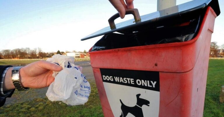 Anger over £30k spent in Renfrewshire on dog fouling campaign