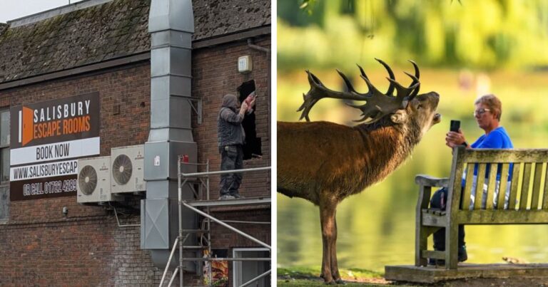 Brits Are Sharing Funny Pics From Their Daily Lives And These 58 Are Simply Exquisite (New Pics)