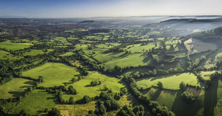Crisis as Britain’s ‘cultural identity’ attacked by postbox thieves | UK | News