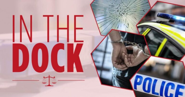 Dog that attacked woman was previously out of control