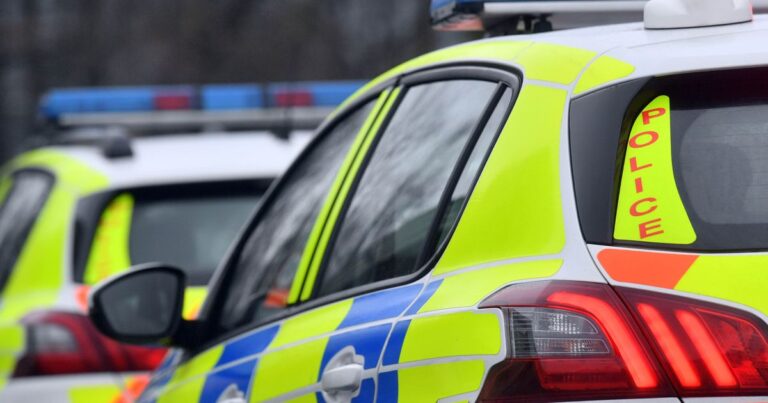 Elderly driver struck two six-year-old children on pedestrian crossing