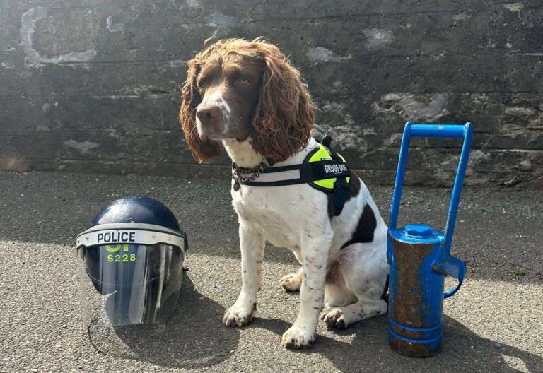 Shetland police and Dogs Against Drugs sieze suspected cannabis from Royal Mail sorting office in Lerwick