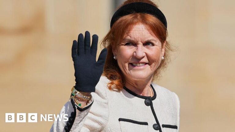 Six of Sarah Ferguson’s companies are being dissolved