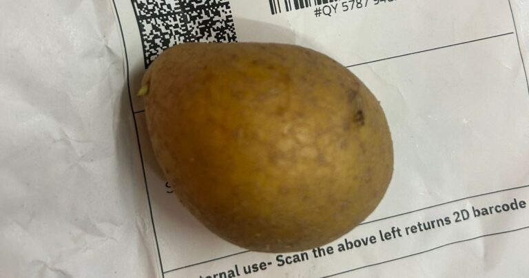 Tiny food items randomly posted to pubs and cafes in Welsh city mystery