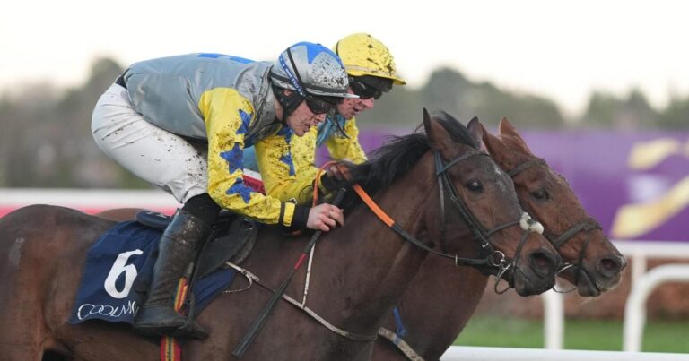 Connor hit with 14-day ban for mistaking winning post