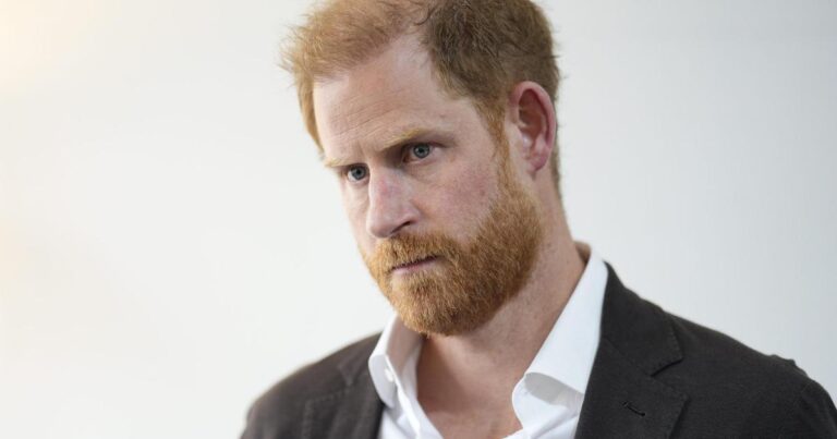 Duke of Sussex campfire story given to Mail by someone present, High Court told