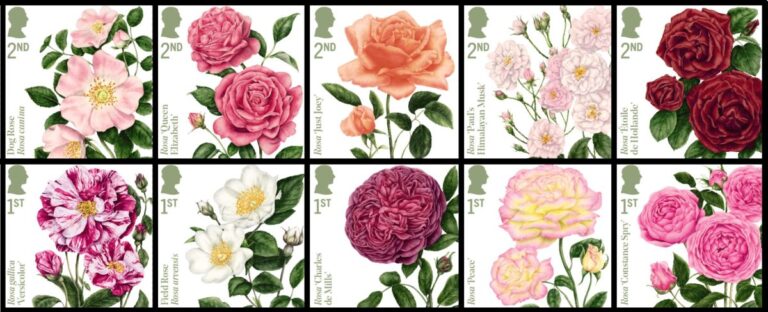 New Royal Mail stamp collection extols virtues of English roses